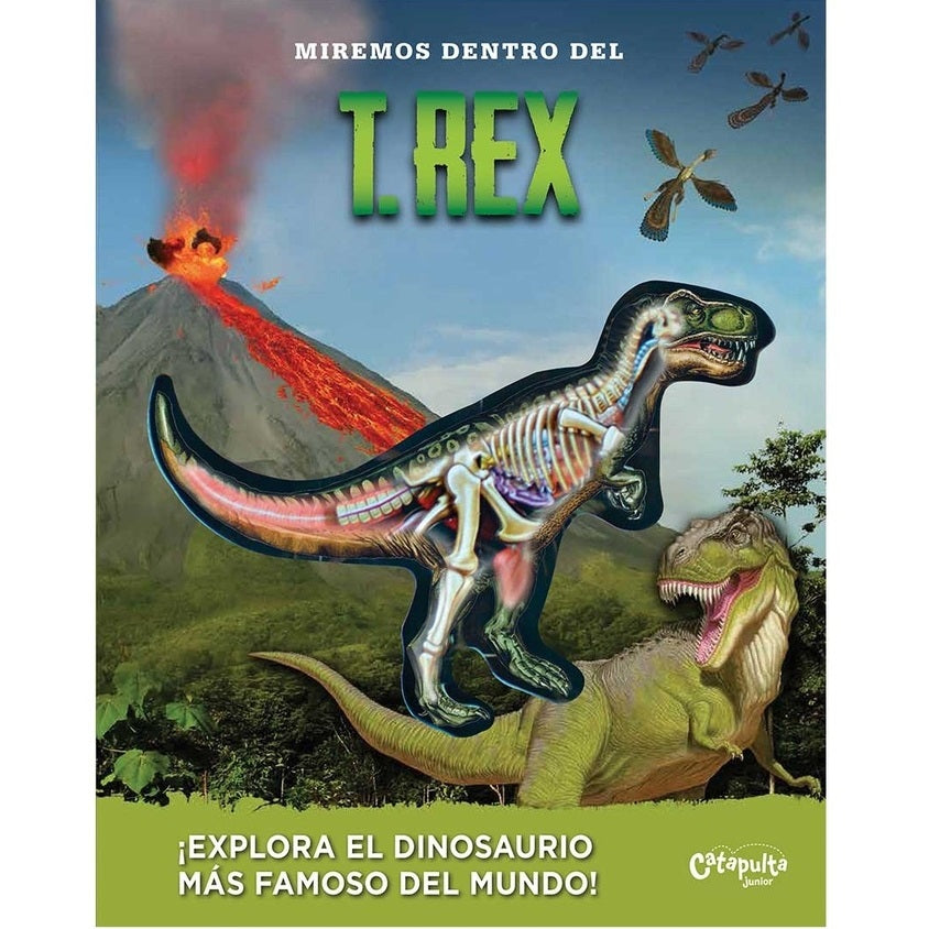 Miremos dentro del T. Rex Miremos dentro del T. Rex